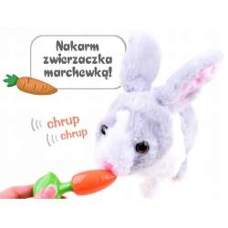 Interaktywny królik Zwierzaczek chrupaczek marchew ZA2685 szary