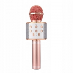 Mikrofon karaoke dla dzieci bezprzewodowy Głośnik ZMU.WS-858.ZROZ