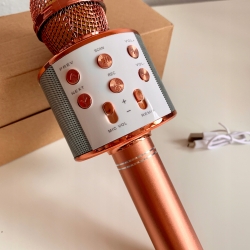 Mikrofon karaoke dla dzieci bezprzewodowy Głośnik ZMU.WS-858.ZROZ