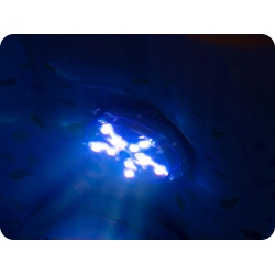 basenowa Lampka LED do Jacuzzi Lay-Z SPA BESTWAY 60303