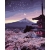 Malowanie po numerach 40x50 obraz Zestaw Do malowania płótno + farby + pędzle WIECZOR.JAPONII