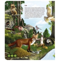 Książka dla dzieci edukacyjna Świat zwierząt Albi 72305